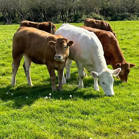 Roc Vaudieu - Charmante Maison De Pecheurs