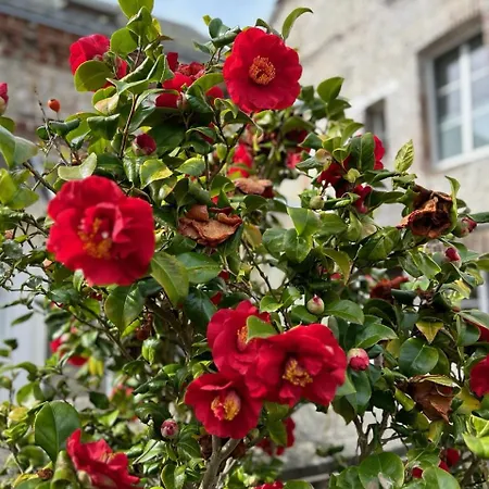 Villa Roc Vaudieu - Charmante Maison De Pecheurs *