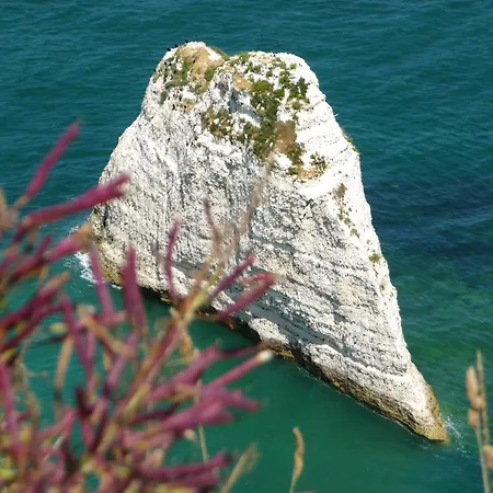 Villa Roc Vaudieu - Charmante Maison De Pecheurs Étretat