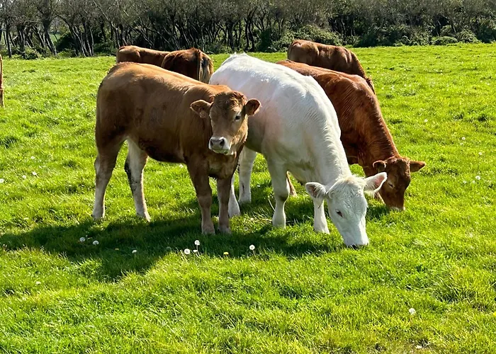Roc Vaudieu - Charmante Maison De Pecheurs