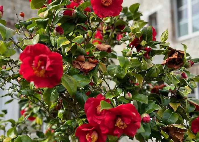 Villa Roc Vaudieu - Charmante Maison De Pecheurs *