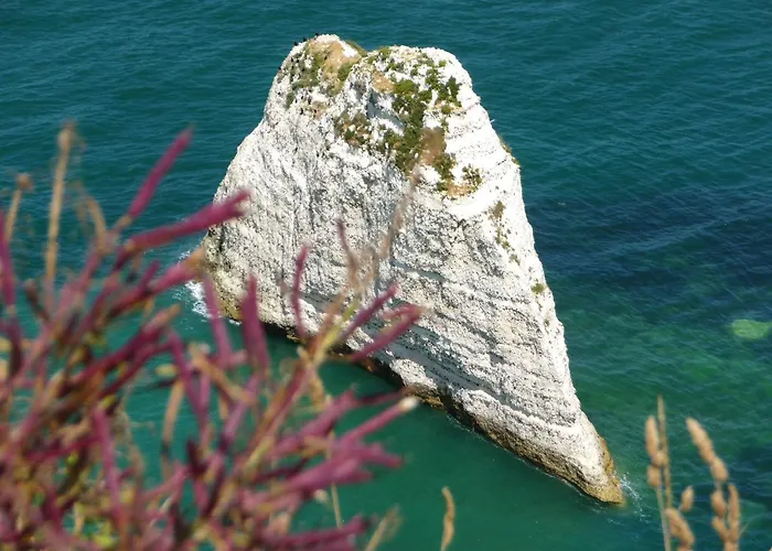 Villa Roc Vaudieu - Charmante Maison De Pecheurs Etretat